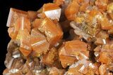 Lustrous, Wulfenite Crystal Cluster - Los Lamentos, Mexico #163161-1